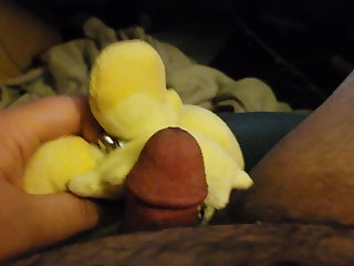 SoF Cumming on Isabelle Plush