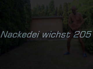 Nackedei is wanking 205