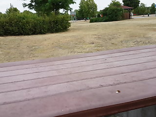 Wanking at the motorway station