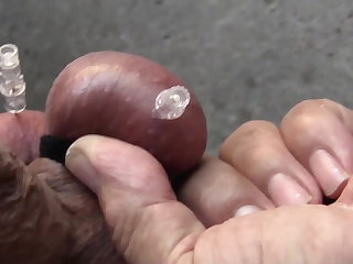 Tranny Shemale Pieprzy extreme session  of cbt , 4 needle in ball from my Master