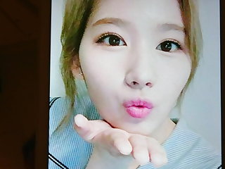 TWICE SANA Cum Tribute 2