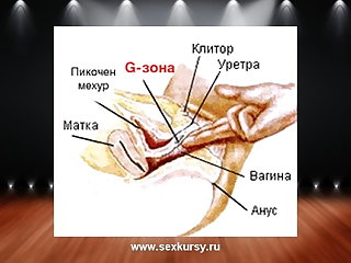 JOI How to awaken a woman's g-spot