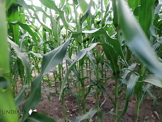 Javna Golota risky public nature fuck in a cornfield - projectsexdiary